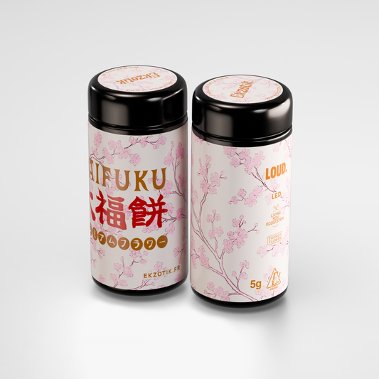Daïfuku jars de 5 grammes