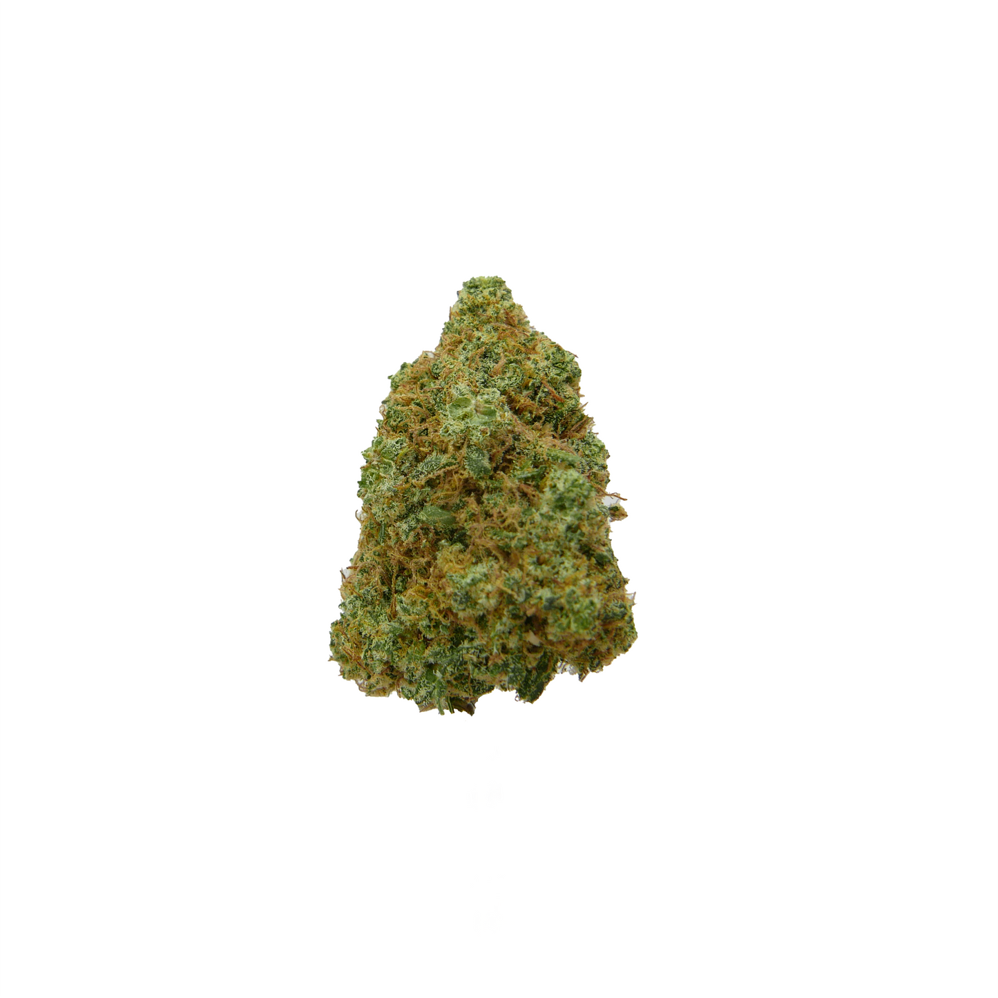 White Dragon