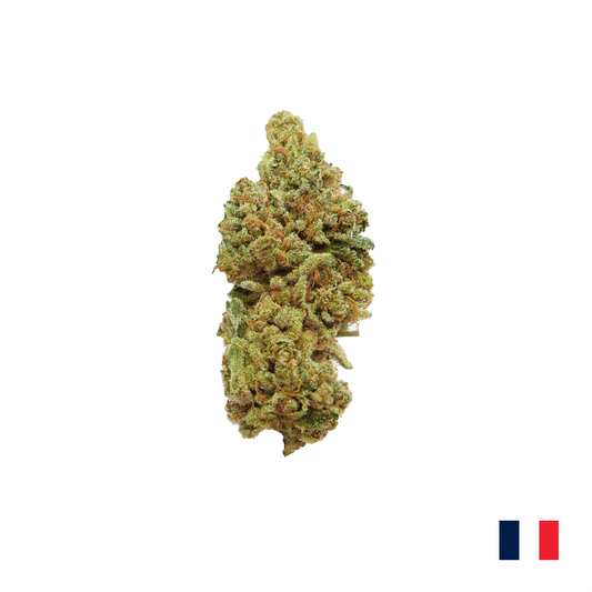 OZ Kush LOUD